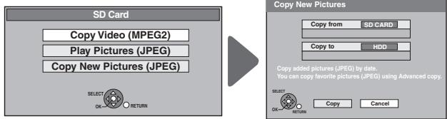 SD Card Copy Video (MPEG2) Play Pictures (JPEG) Copy New Pictures (JPEG) SELECT OK RETURN Copy New Pictures Copy from SD CARD Copy to HDD Copy added pictures (JPEG) by date. You can copy favorite pictures (JPEG) using Advanced copy. SELECT OK RETURN Copy Cancel