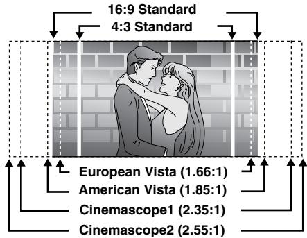 PANASONIC DVDF61P - Screen size - 1