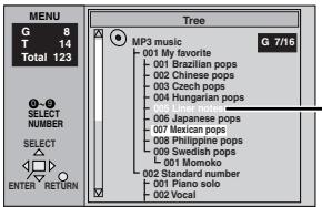 PANASONIC DVDF61P - While the menu is displayed - 1