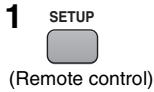 PANASONIC DVDLX8EB - Changing the player settings - 1