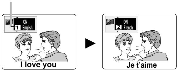 PANASONIC DVDRV32GC - Press [SUBTITLE]. - 1