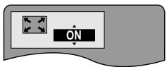 PANASONIC DVDRV32GC - 4:3 TV ZOOM function - 1