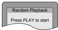 PANASONIC DVDRV32GC - Random play - 1