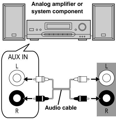 PANASONIC DVDRV32GC - Analog connection - 1