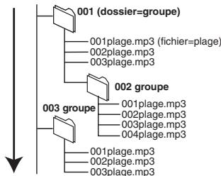 PANASONIC DMR E85H - Appellation des dossiers et des fichiers - 1