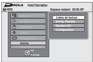 PANASONIC DMR-EX96CEGK - HDD RAM - 1