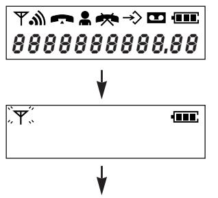 0000000000.00 ↓ ↓