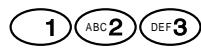 PANASONIC KXTD1232G - Anrufen einer anderen Nebenstelle (Internruf) - 7