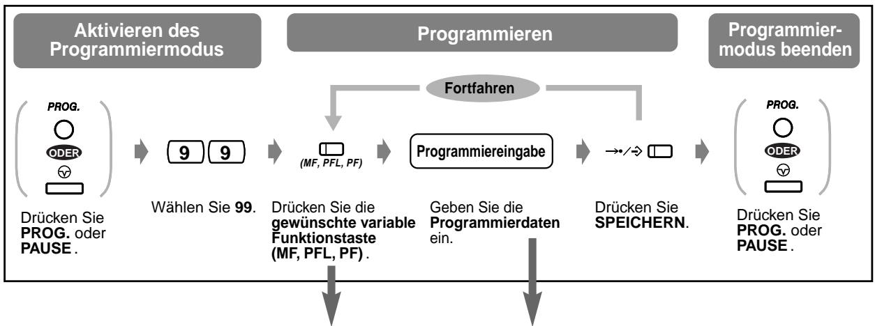 PANASONIC KXTD816GE - Belegung der variablen Funktionstasten - 1