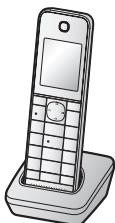 PANASONIC KX-TGHA20EX - Hinweis: - 1