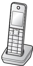 PANASONIC KX-TGHA20EX - Panasonic® - 1