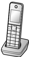 PANASONIC KX-TGHA20EX - KX-TGHA20EX - 2