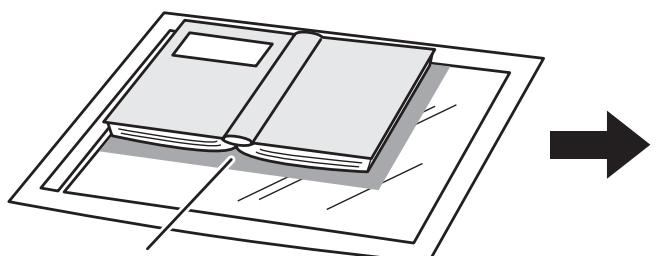 SHARP MX-2614N/3114N - Löschen von Schatten am RAND (Löschen) - 1