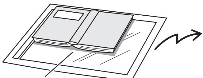 SHARP MX-2614N/3114N - Löschen von RANDSCHATTEN um DAS DOKUMENT (Löschen) - 1