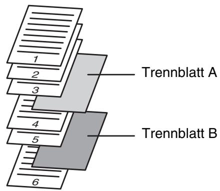 SHARP MX-2614N/3114N - EINFÜGEN VON TRENNBLÄTTERN IN KÖPIEN (Trennblatteinstellungen) - 8