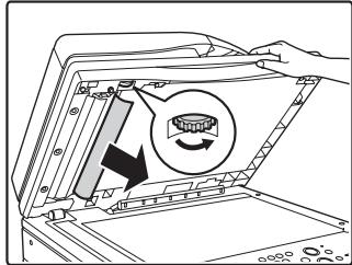 SHARP MX-2614N/3114N - Stau des Originals - 3