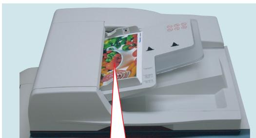 PANASONIC DP-C323 - 6 - 1