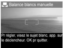 HP PHOTOSMART R507 - Balance des blancs manuelle - 1