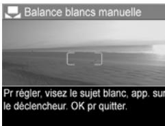 HP PHOTOSMART R607 - Balance des blancs manuelle - 1