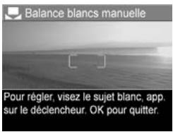 HP PHOTOSMART R717 - Balance des blancs manuelle - 1