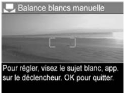 HP PHOTOSMART R817 - Balance des blancs manuelle - 1
