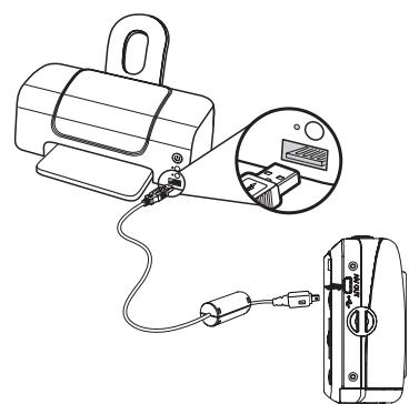 HP CC330 - Connecting the camera and printer. - 3
