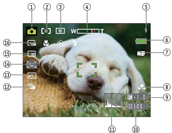 HP CC330 - Still Picture Mode Display - 1