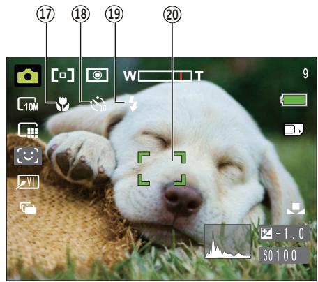 HP CC330 - Still Picture Mode Display - 2