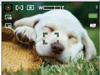 HP CC330 - Scene mode - 2
