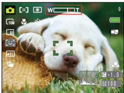 HP CC330 - Using the Zoom Function - 2