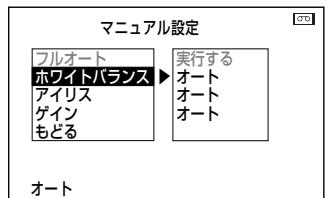 SHARP VL-Z5 - 手動で調整する（マニュアル機能）（つズき） - 2