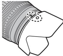 FUJIFILM X-S1 - Le parasoleil - 2