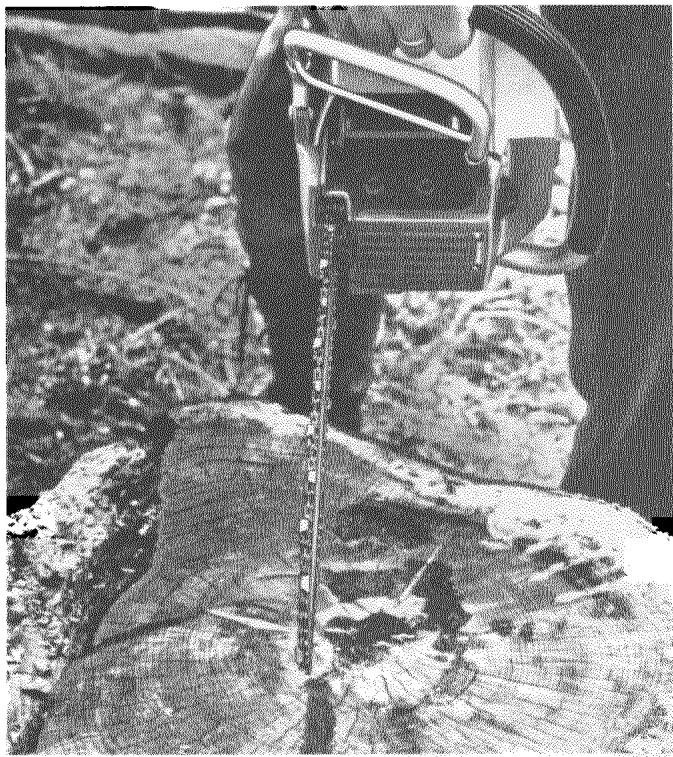 HUSQVARNA CHAINSAWS - Maintenance - 2