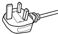 JVC DLA-X700R - Cable de alimentación - 1