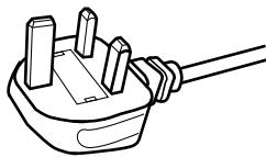 JVC DLA-X900R - Cable de alimentación - 1