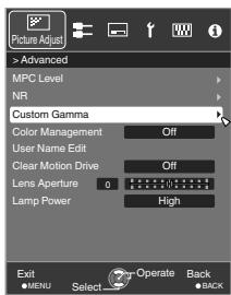 JVC DLA-X95R - Adjusting to the Preferred Gamma Setting (Custom Gamma) - 4