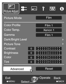 JVC DLA-X95R - Adjusting to the Preferred Gamma Setting (Custom Gamma) - 2