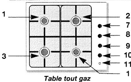 BRANDT FXTG4C - Comment se présente votre table de cuisson ? - 1