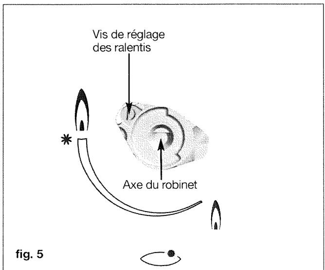 BRANDT TE274XS1 - Débranche l'appareil avant toute intervention - 6
