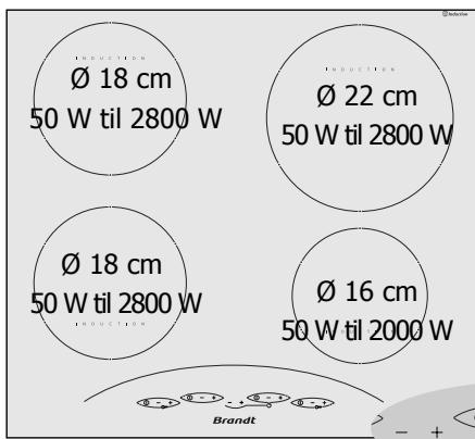 Diagram illustrating electron spin states with positive and negative charges, showing a hand pointing to a positively charged particle.