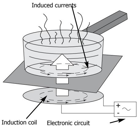 BRANDT TI302BS1 - The principles of induction - 1