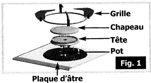 BRANDT TG210WF1 - Changement de gaz (suite) - 1