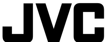 JVC XV-N316 - Sorties audio - 2