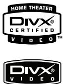 JVC XV-N316 - Sorties audio - 1