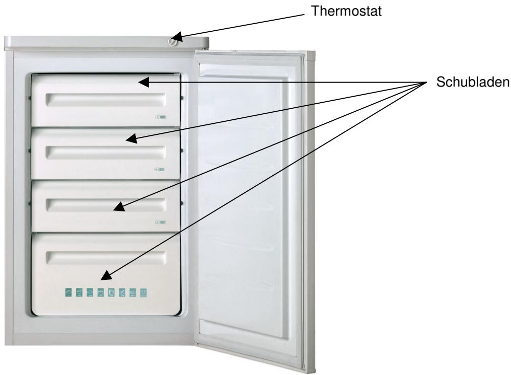 BRANDT UM1000H - ALLGEMEINE BESCHREIBUNG - 1