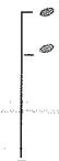 BRANDT DWE300 - La programmation - 2