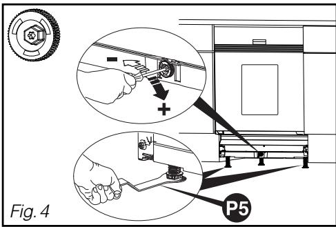 Fig. 4 P5
