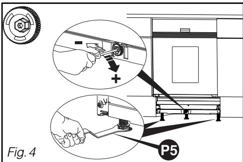 Fig. 4 P5