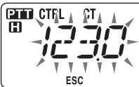 KENWOOD TM-V71A - ID FREQUENZA CTCSS - 3