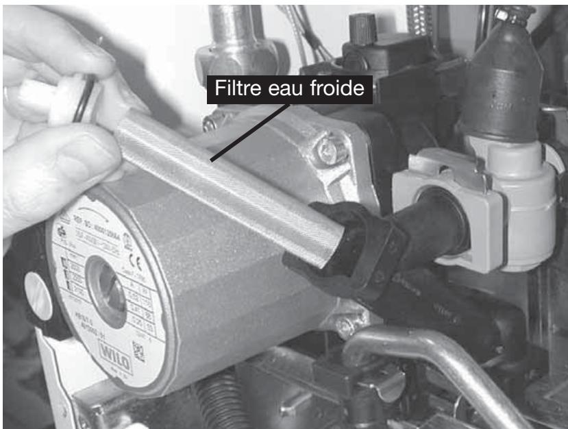 SAUNIER DUVAL THEMA C25E CF 24.6 KW - Filtre eau froide - 1